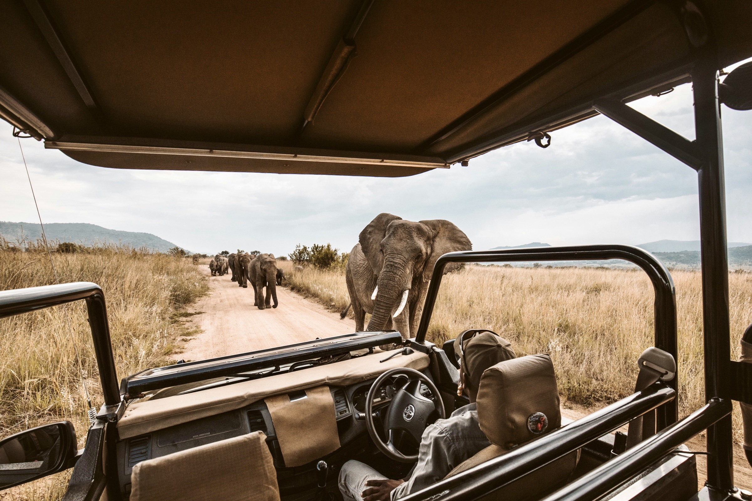 🇿🇦 South Africa